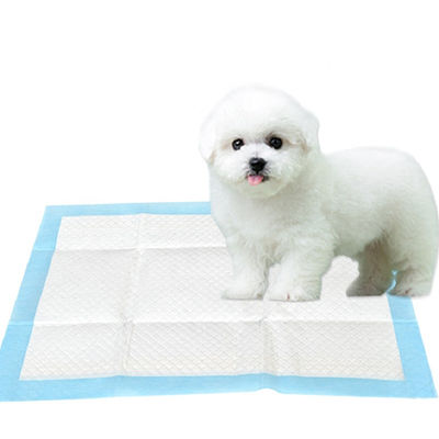 El entrenamiento disponible del perrito de la prenda impermeable los 60*90cm rellena la superficie seca